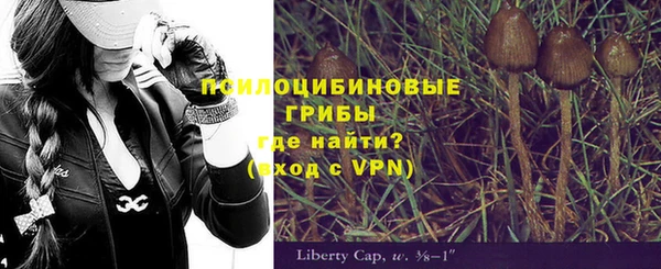 apvp Абаза